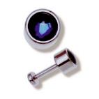 pierc(lab001).JPG (2782 bytes)